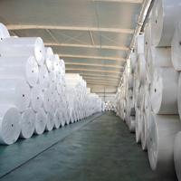 Hochwertige Recycling-Papierrolle Umweltfreundliche Weiche Jumbo-Rolle mit Anpassbarem Logo Mutterrolle