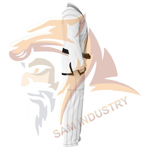 Ensembles d'uniformes de Taekwondo de fabricant professionnel, 100% coton, couleur personnalisée, vêtements de compétition, uniforme de Taekwondo - Product Image 3