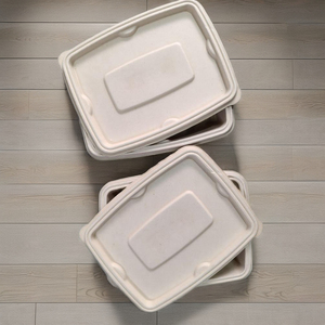 750ml Rectangular Bagasse Food Container with Lid | Biodegradable <b>Disposable</b> Lunch Box - Product Image 1