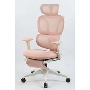 Sedia da Ufficio Ergonomica con Schienale Alto, Supporto Lombare Dinamico, Poggiatesta 2D, Braccioli 2D e Poggiapiedi - Product Image 6