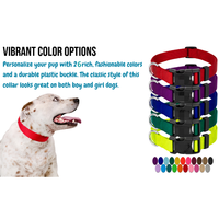 Pet malzemeleri martingale özel pet köpek tasması toka ile temel naylon köpek tasması köpek tasması naylon pet aksesuarları