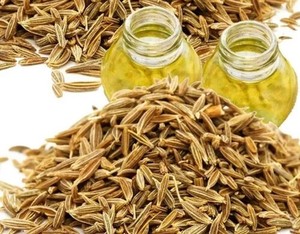 น้ำมันเมล็ดยี่หร่าเกรดพรีเมียมพิเศษ Terra Bio Naturals บรรจุภัณฑ์ขนาดตามสั่งสำหรับการใช้งานหลากหลายประเภท จากผู้ส่งออกทัมมิลนาฏูร์ - Product Image 4