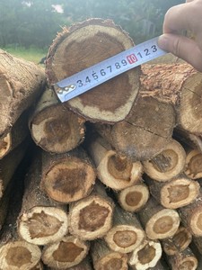 Piquets en bois d'eucalyptus naturel à prix abordable, à une extrémité pointue, robustes, pour l'agriculture, le jardinage et le soutien des plantes - Product Image 1