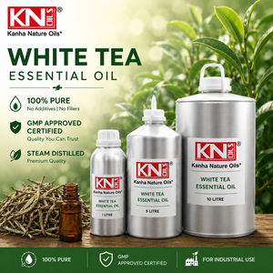 น้ำมันหอมระเหยชาขาวพรีเมียม คาเมลเลีย ไซเนนซิส บริสุทธิ์ 100% ออร์แกนิค รับรองมาตรฐาน จำหน่ายส่งออกและขายส่งทั่วโลก - Product Image 2
