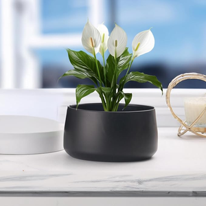 Modern Matte <b>Black</b> Metal Planter Pot for Indoor Plants Decorative Flower Pot for Home Office <b>Table</b> Decor - Product Image 2