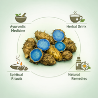 Cúrcuma Negra Kali Haldi Fresca de Exportación, Raíz Herbal de Curcuma Caesia de KAMADHEI AGRO FARM para Bienestar y Tradiciones Espirituales