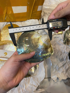 Premium Polished Thick Mother of Pearl Shell Material - Black Yellow Shell Best Price For Wholesale - Product Image 3