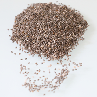 Graines de chia indiennes de qualité supérieure pour l'exportation, destinées aux importateurs mondiaux, aux fabricants et aux distributeurs alimentaires