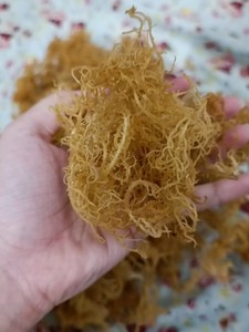 โรงงานเวียดนาม สาหร่ายทะเลธรรมชาติ สาหร่ายไอริชแห้ง ผู้ผลิตและผู้ส่งออกขายส่ง - Product Image 2