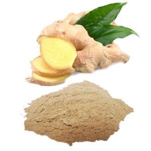 Meilleur prix, best-seller, qualité supérieure, fabricant vietnamien, poudre de gingembre, emballage personnalisé - Product Image 6