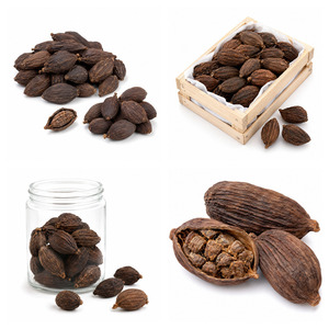 Wholesale Price International Standard Hot Sale Vietnam Manufacturer Supply Black Cardamom 25kg/carton - Product Image 2
