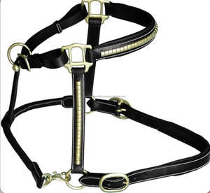 Harnais de cheval en cuir sur mesure avec rembourrage et clous en laiton, harnais à couronne réglable à dégagement rapide pour chevaux - Product Image 3