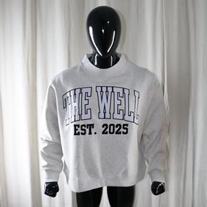 Sweat-shirt à col montant gris cendré 100% coton avec broderie appliquée, col large, URBAN PRODUCTIONS - Product Image 1