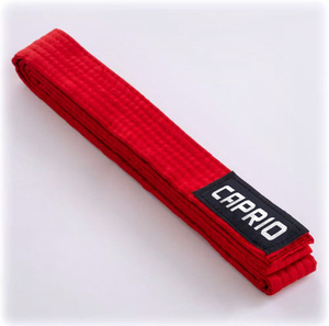 Cinturón y Faja de Artes Marciales Personalizados, Cinturón de Rango de Algodón Premium para Karate, Taekwondo, Judo, Kung Fu, para Entrenamiento y Competición - Product Image 1