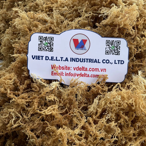 Mousse d'algues biologique du Vietnam riche en iode pour l'alimentation et les cosmétiques, vente en gros, exportation - Product Image 1