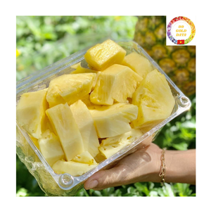 IQF Frozen Pineapple Cubes | Natural Sweet Taste | Bulk Export | Vietnam HACCP Supplier - Product Image 3