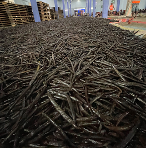 Fresh Organic Vanilla <b>Beans</b> / Whole Vanilla <b>Beans</b> Custom Bulk Flavor for <b>Baking</b> - Product Image 4