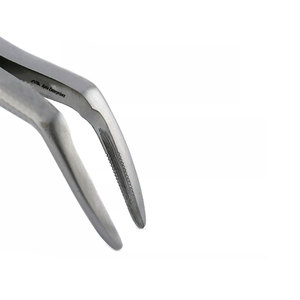 Forceps d'extraction dentaire en acier inoxydable, instrument chirurgical pour une extraction précise des molaires et des prémolaires - Product Image 3