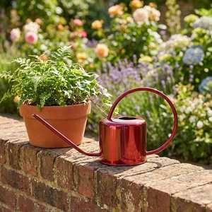 Arrosoir de qualité professionnelle, arrosoir de jardin, accessoire de jardinage, produit de jardinage en magasin, arrosoir pour la vente au détail - Product Image 1