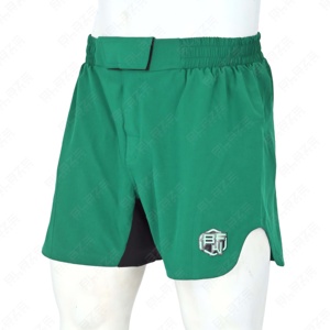 Blaze 2024 Shorts de sport pour hommes pour la course à pied et l'entraînement Vêtements de fitness à motif solide avec poches Shorts de sport en vrac - Product Image 1