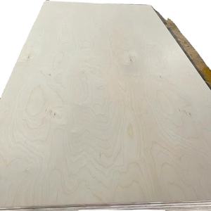 Panneau mural décoratif en contreplaqué de bouleau, surface poncée E0, usage pour porte de placard, design moderne, Carb P2 1220x2440mm - Product Image 4