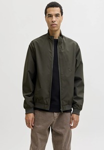 Men's Olive Green Bomber <b>Jacket</b> Solid Color Zipper Closure Stand Collar Casual Style Polyester Windproof Autumn Wear - Product Image 3