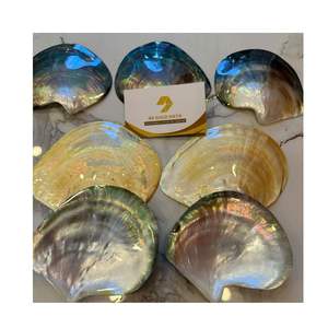 Assiette décorative en nacre dorée, plat noir polyvalent pour caviar, savon, maison, luxe, écologique, jetable - Product Image 1