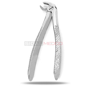 Premium Manual Extracting Forceps #38 English Pattern High Quality German Stainless Steel Dental Composite Filling Instruments - Product Image 2