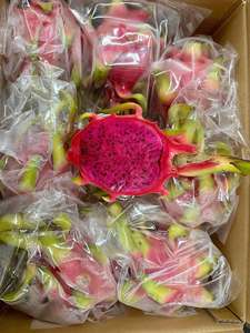 Fruta del Dragón Roja y Blanca Fresca de Vietnam, Fruta Natural para Consumo Fresco, Preparación de Jugos, Smoothies, Postres y Servicios de Alimentos - Product Image 4