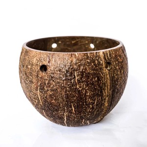 Maceta decorativa de cáscara de coco al precio más bajo, macetas artesanales de alta calidad. - Product Image 1