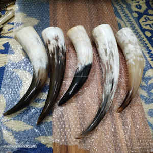 Corne à boire artisanale sud-africaine en corne de bœuf blanche, polie naturellement, style viking, au meilleur prix - Product Image 5