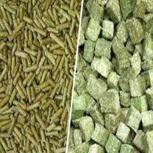Aliments sains pour animaux, granulés d'alfalfa génériques/en marque privée, riches en fibres, alimentation pour chevaux, durée de conservation de 24 mois, approvisionnement en vrac, Royaume-Uni - Product Image 6