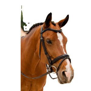 Cabestro de cuero ecuestre personalizable y brida occidental para doma de carreras de caballos con logotipo personalizado - Product Image 1