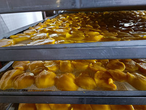 Rebanada natural dorada seca de mango dulce suave hecha por AD Drying VIETNAM Tropical Fruit Export Standard Snack 99 Gold Data Company - Product Image 3