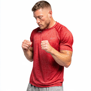 T-shirt de sport à manches courtes pour homme, séchage rapide, pour la course à pied, l'entraînement et la gym - Product Image 3