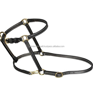 Custom Contrast <b>Stitching</b> Black and Havana Brown Padded Leather Horse Racing Halter and <b>Accessories</b> with Brass Hardware - Product Image 2