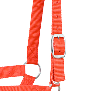 Cabestro de Nylon Rojo Resistente para Ganado, Collar Ajustable para Cabeza de Ganado con Hebillas Metálicas, Duradero para Uso en Granjas Ganaderas - Product Image 4
