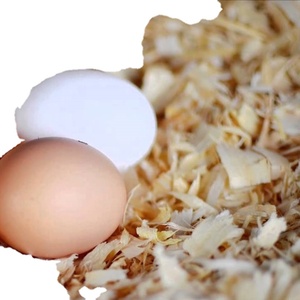 Pellets de Madera de Pino de Vietnam de 15 mm – Virutas Súper Suaves, Cama para Animales y Fertilizante Orgánico, Suministro al por Mayor - Product Image 3