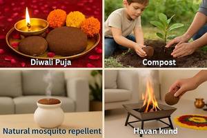 <b>Cow</b> Dung Cake 100% Sun Dried Handmade Natural For Hawan Yagya Rituals Eco Friendly Product and also use for Organic Farming. - Product Image 5
