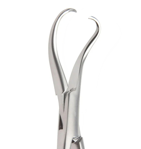 Pince à serviettes Backhaus en acier inoxydable réutilisable avec verrouillage – Fabricant et fournisseur de pinces à serviettes Backhaus personnalisées - Product Image 4