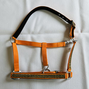 Halters à double couche en nylon d'excellente qualité Meilleur prix Résistant aux UV Raccords en fer à la mode Couture à fil élevé Halters élevés - Product Image 4