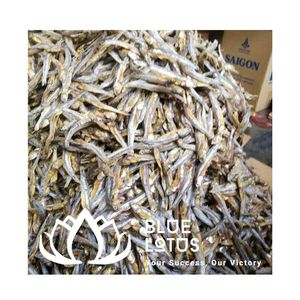 Anchoas Secas de Alta Calidad Disponibles, Pescado Seco Sostenible para Restaurantes y Servicios de Catering - Product Image 1