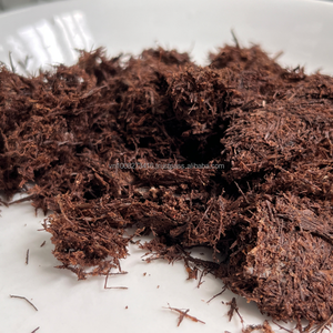Fibra Natural de Bagazo de Caña de Azúcar Fermentada Premium, Ingrediente Alimenticio para Ganado Vacuno y Rumiantes, 8% de Humedad Máxima, Kim Minh - Product Image 4