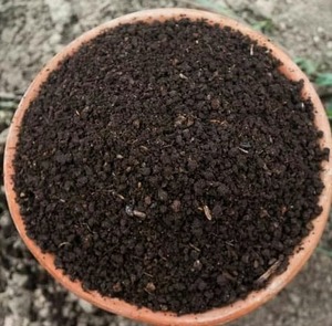 Vermicompost naturel biologique traité à base de vers de terre, conditionneur de sol, matériau granulaire fin pour les cultures maraîchères, les jardins et l'agriculture - Product Image 1