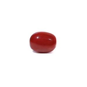 Natural Red Coral Oval Cabochon 2.84 Carat Loose Gemstone Certified Wholesale - Product Image 1