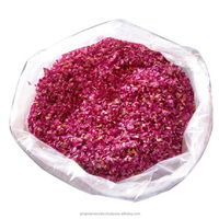 Grandes fleurs décoratives en vrac de matériel naturel de pétales de rose séchés rouges pour des occasions de Noël