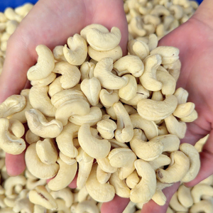 เม็ดมะม่วงหิมพานต์ถั่วคาจูส่งออกไปตะวันออกกลาง Kaju badam santigo - Product Image 1