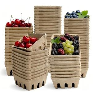Panier d'emballage en pulpe moulée durable, respirant et écologique – Contenant ultime pour fruits – Barquettes à fruits moulées de qualité professionnelle - Product Image 2