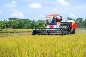 Cosechadora de Arroz de 120HP Kubota DC-108X con Orugas de Goma, Máquina Diésel para Cosechar Granos, Ideal para Campos de Arroz Grandes y Uso en Zonas Húmedas - Product Image 3