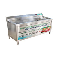 Dezoton Commerciële Groente- en Fruitwasmachine met Belletjesreinigingssysteem Restaurant Hotel Ultrasone Vaatwasser